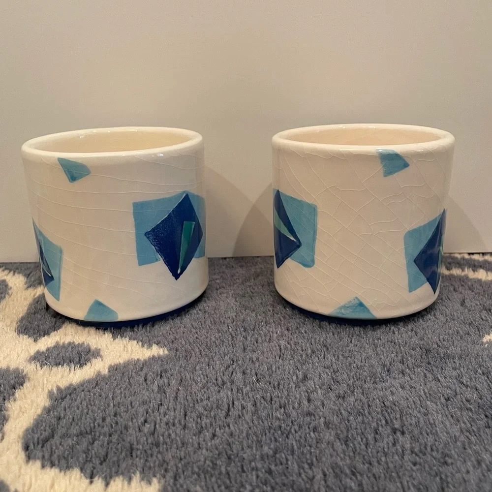 West Elm x Roar and Rabbit Cachepots